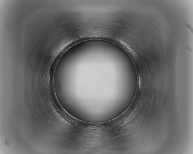 X0000091590627200708200953