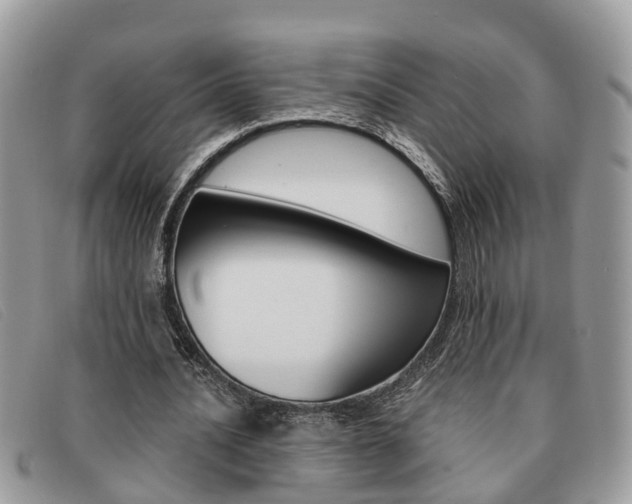X0000091590628200708200953