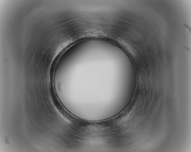 X0000091590630200708200953