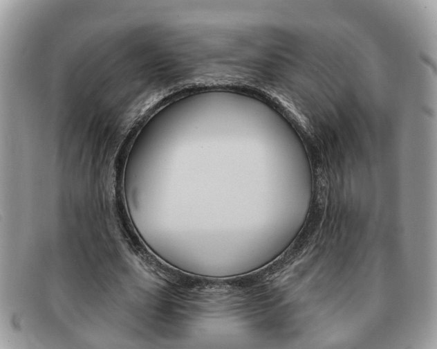 X0000091590631200708200953
