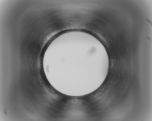 X0000091590632200708200953