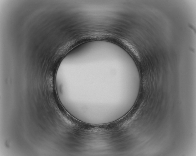 X0000091590633200708200953
