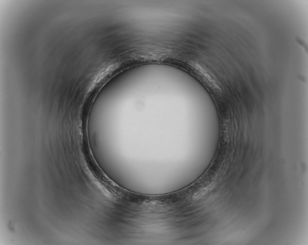 X0000091590634200708200953