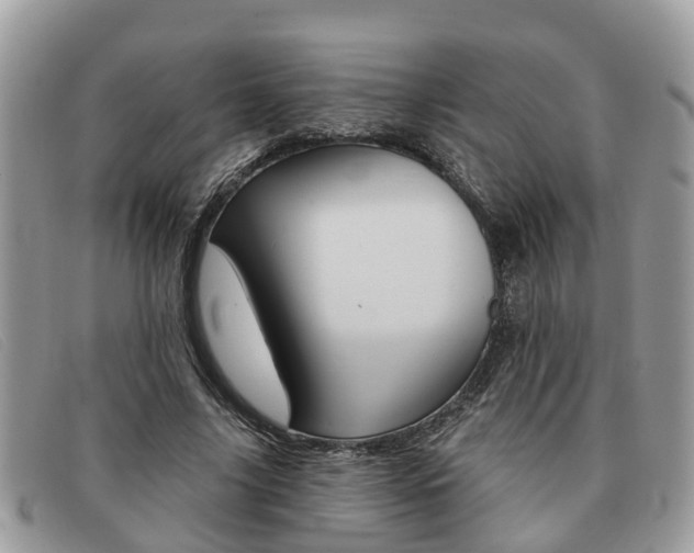 X0000091590635200708200953