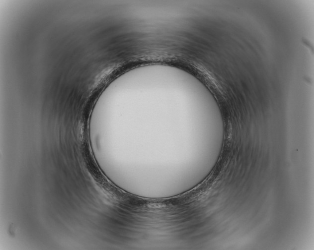 X0000091590636200708200953