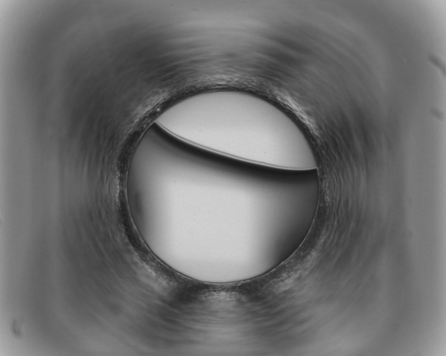 X0000091590637200708200953