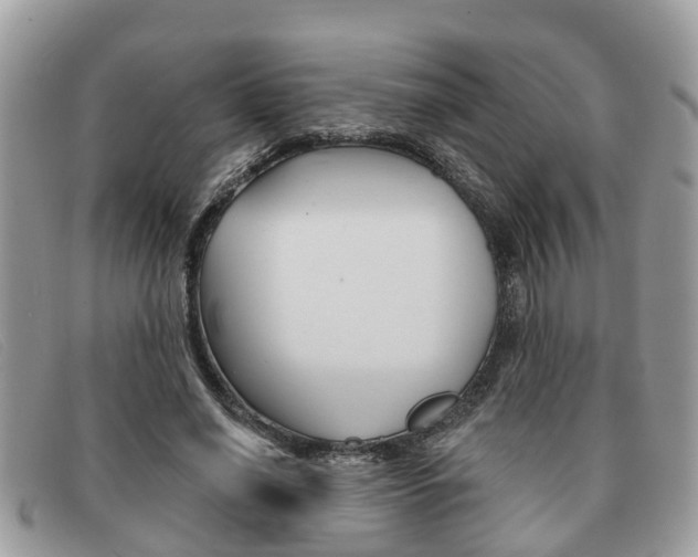 X0000091590638200708200953