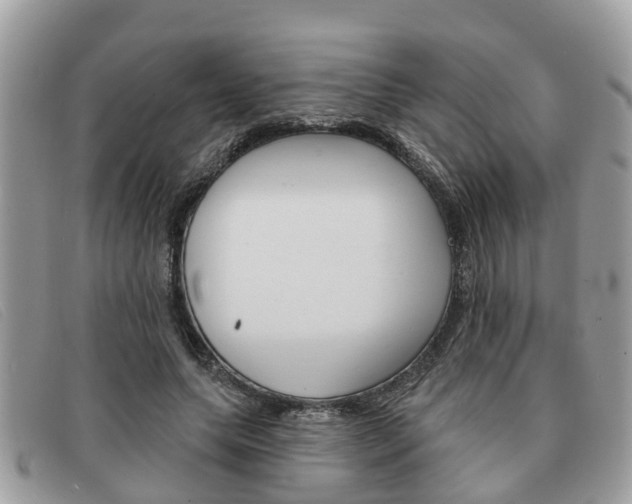 X0000091590639200708200953