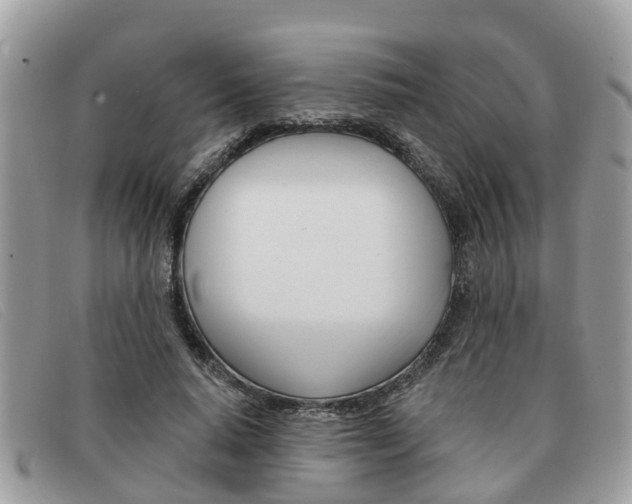 X0000091590640200708200953