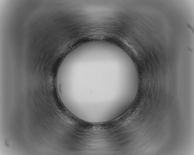 X0000091590641200708200953