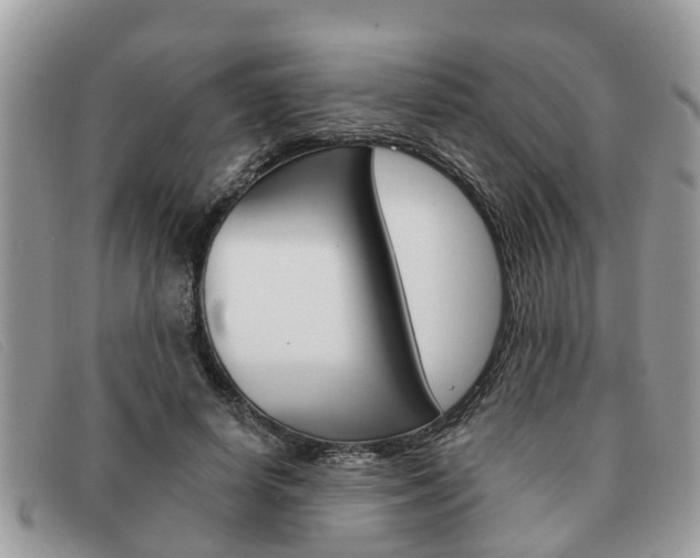 X0000091590642200708200953