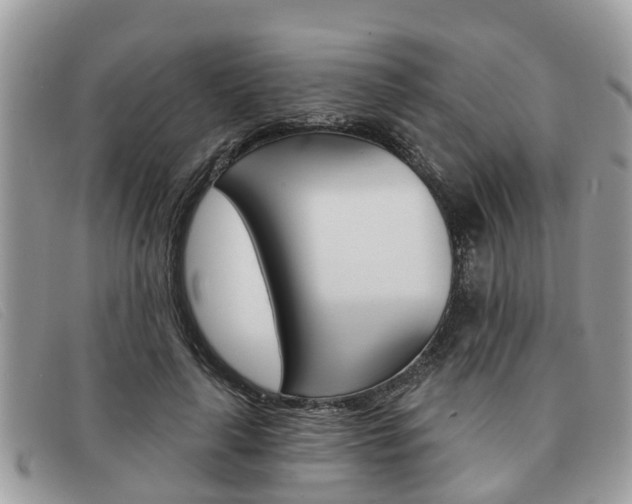 X0000091590643200708200953