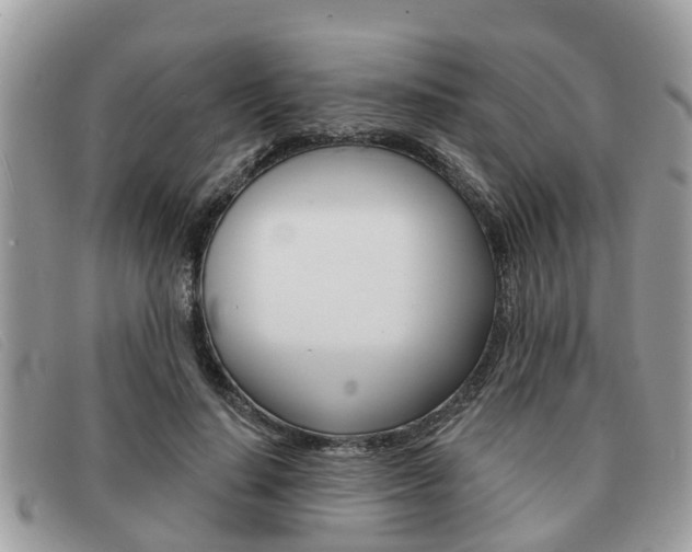X0000091590644200708200953