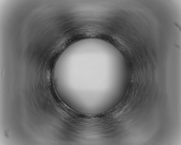 X0000091590646200708200953