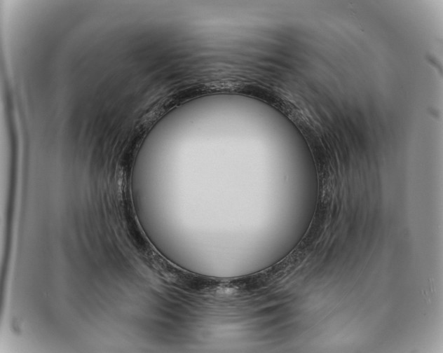 X0000091590647200708200953