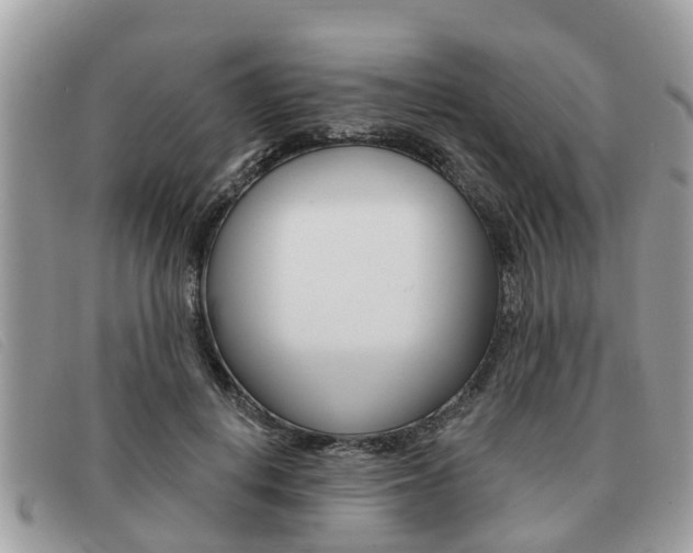 X0000091590648200708200953
