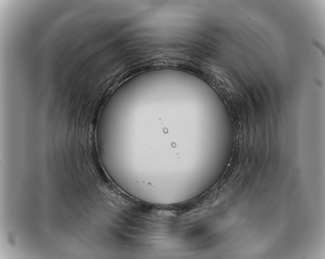 X0000091590649200708200953