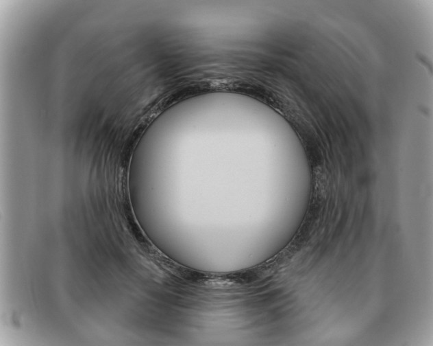 X0000091590650200708200953
