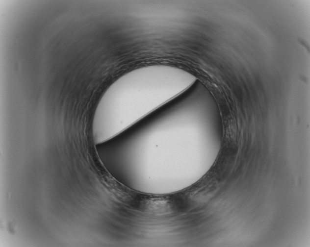 X0000091590651200708200953