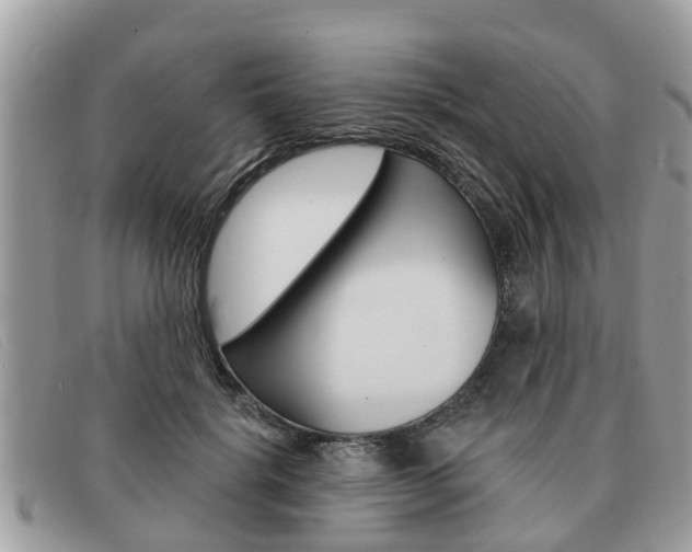 X0000091590652200708200953