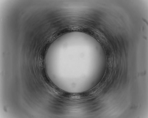 X0000091590653200708200953