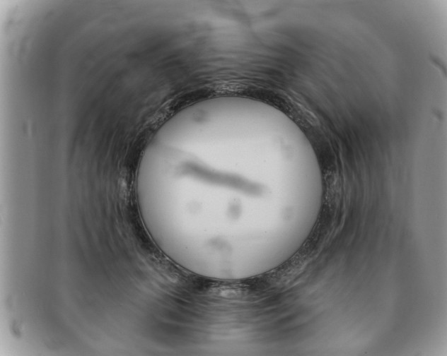 X0000091590655200708200953