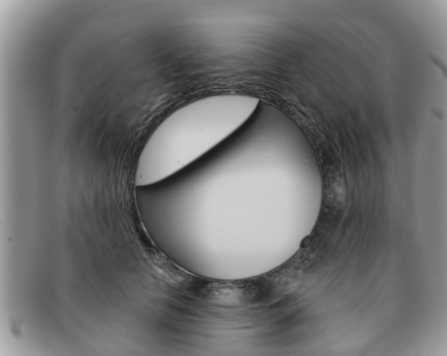 X0000091590658200708200953