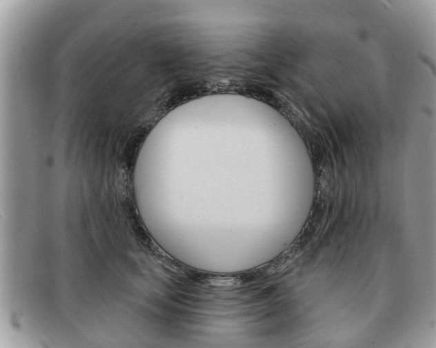 X0000091590659200708200953