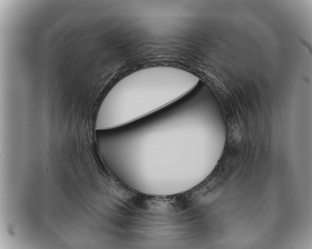 X0000091590661200708200953