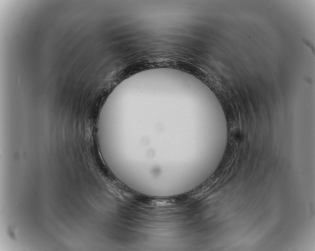 X0000091590662200708200953