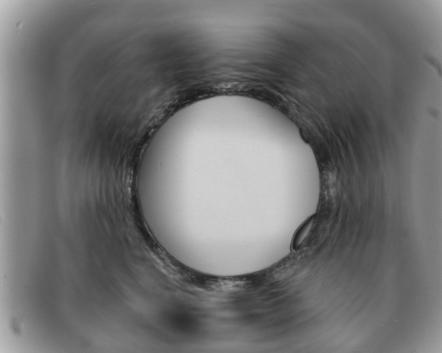 X0000091590664200708200953