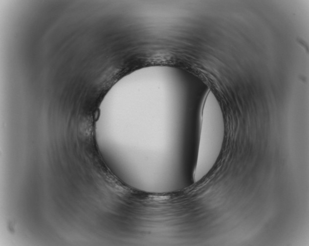 X0000091590665200708200953