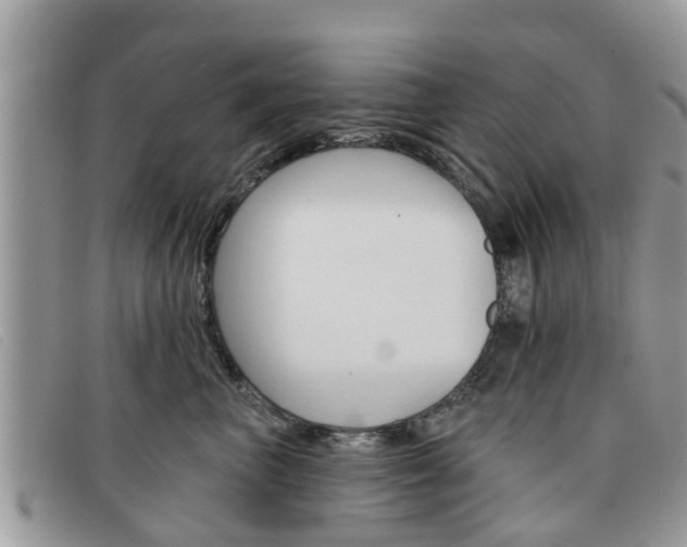X0000091590667200708200953