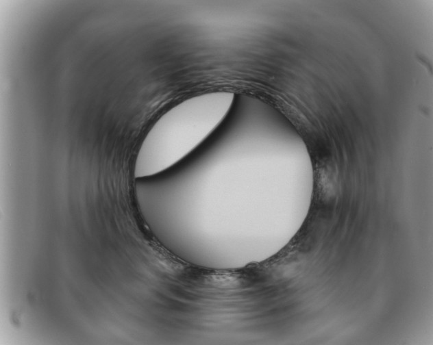 X0000091590668200708200953