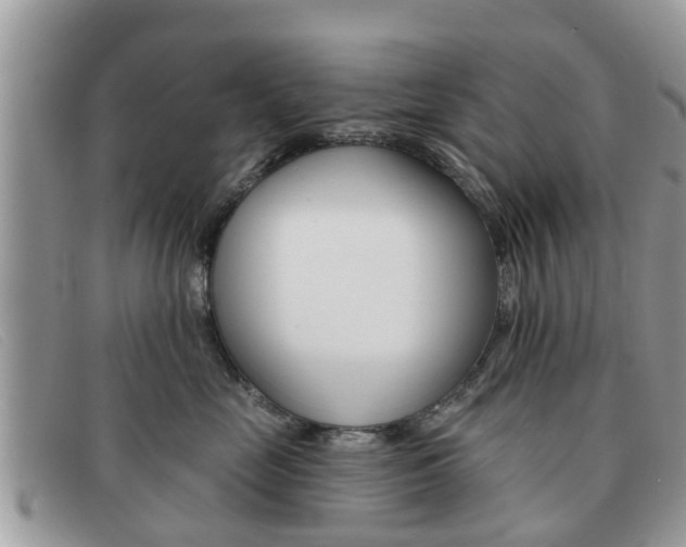 X0000091590669200708200953