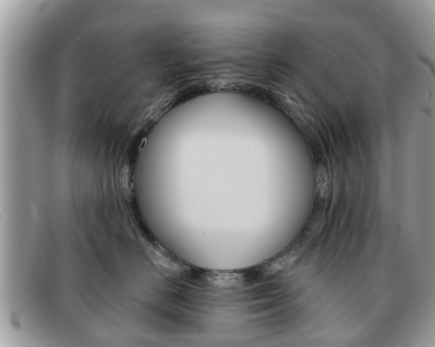 X0000091590670200708200953