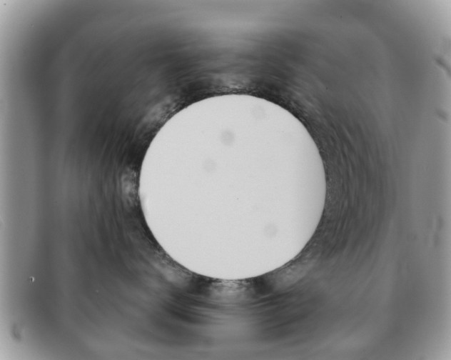 X0000091590672200708200953
