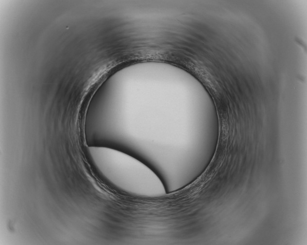 X0000091590674200708200953