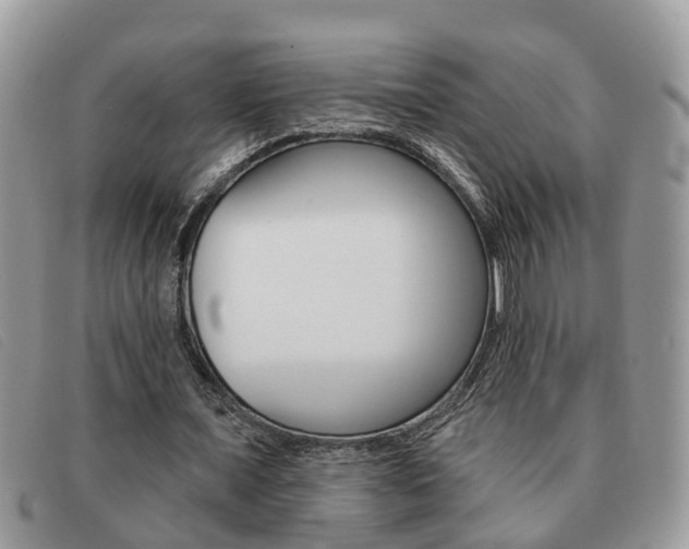 X0000091590675200708200953