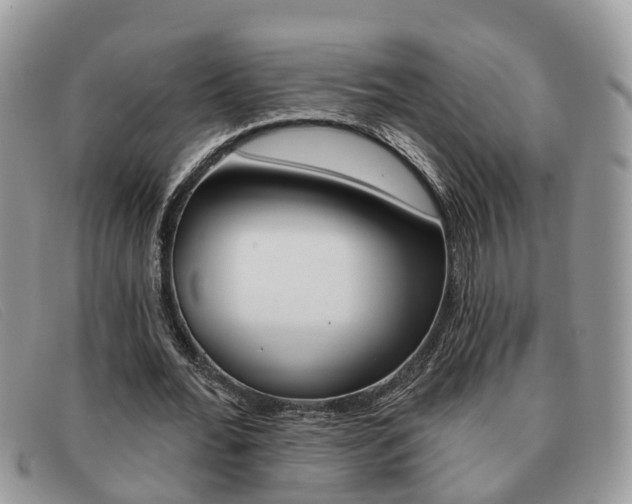X0000091590676200708200952