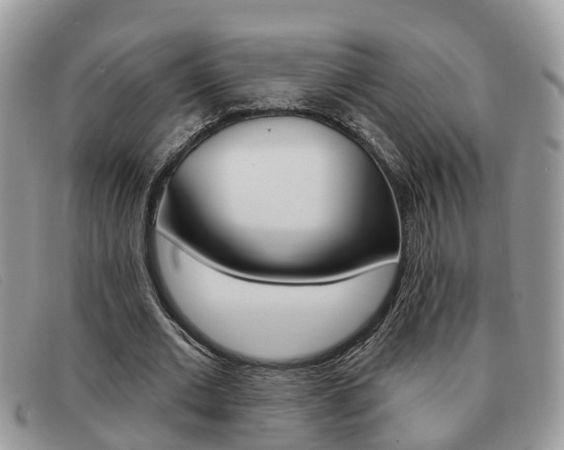 X0000091590677200708200952