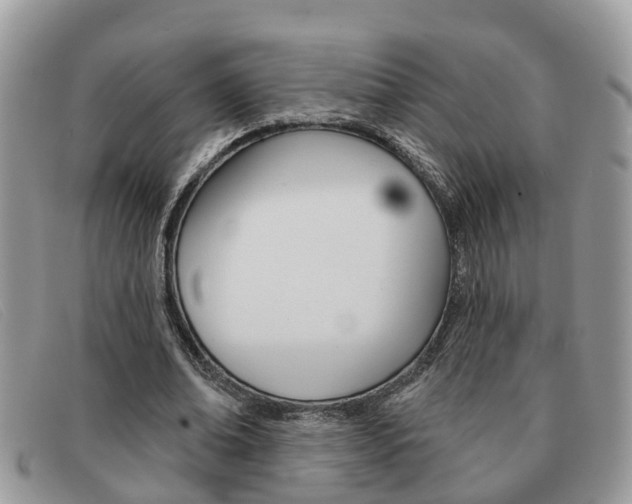 X0000091590678200708200952
