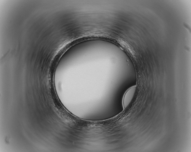 X0000091590680200708200952
