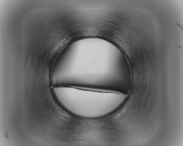 X0000091590681200708200952