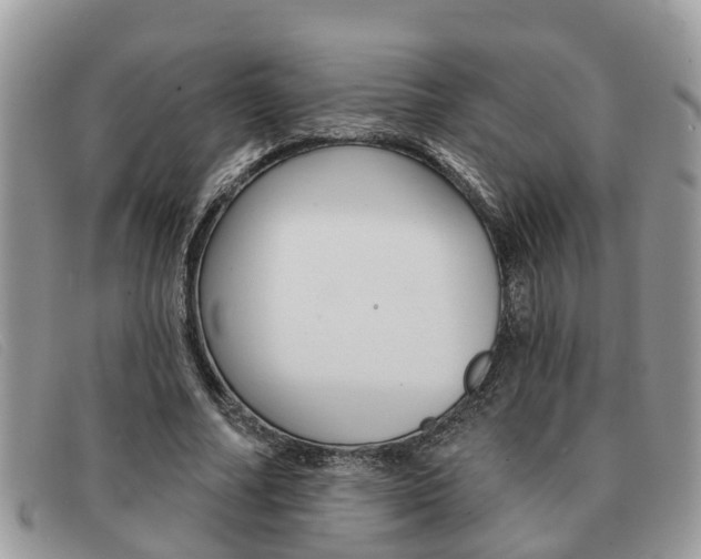 X0000091590682200708200952