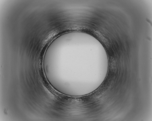 X0000091590683200708200952