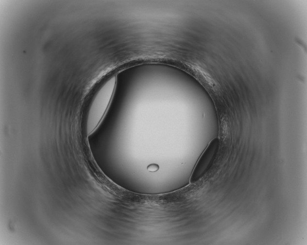 X0000091590684200708200952