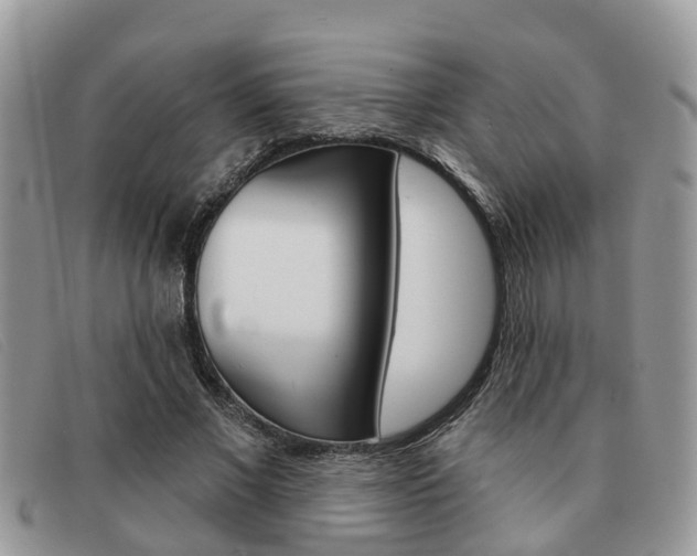X0000091590685200708200952