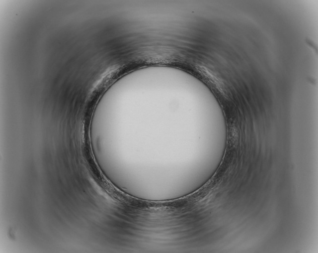 X0000091590686200708200952