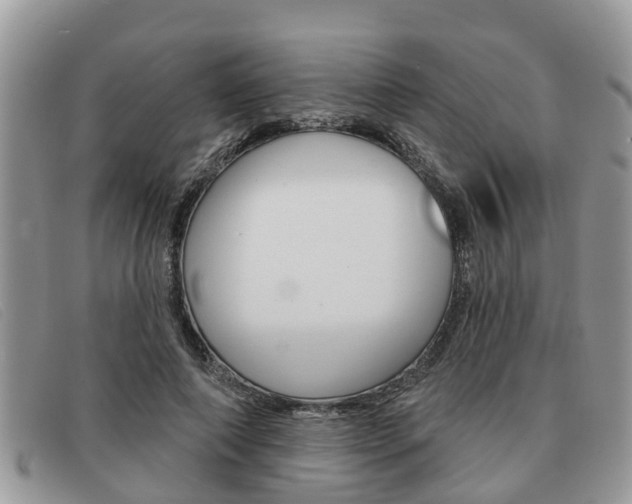 X0000091590690200708200952